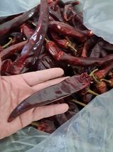 팜모닝 · 게시글 이미지