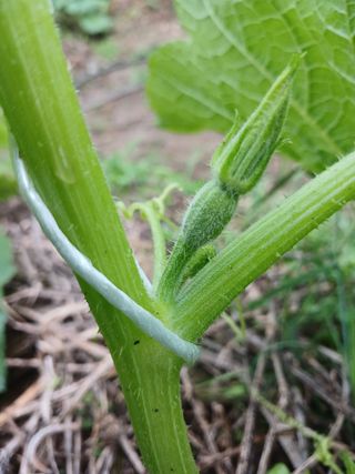 산성골농장님의 자유주제 · 자유게시판 작성글 사진