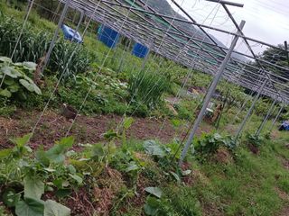 산성골농장님의 자유주제 · 자유게시판 작성글 사진