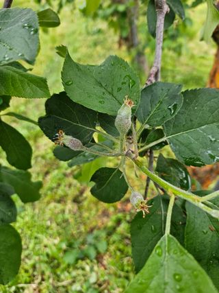 예나사랑님의 자유주제 · 자유게시판 작성글 사진