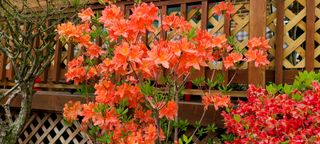 최영희님의 자유주제 · 자유게시판 작성글 사진