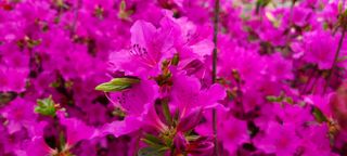 최영희님의 자유주제 · 자유게시판 작성글 사진