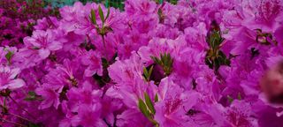 최영희님의 자유주제 · 자유게시판 작성글 사진