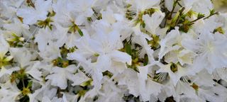 최영희님의 자유주제 · 자유게시판 작성글 사진