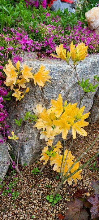 최영희님의 자유주제 · 자유게시판 작성글 사진