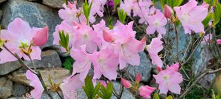 최영희님의 자유주제 · 자유게시판 작성글 사진