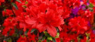 최영희님의 자유주제 · 자유게시판 작성글 사진