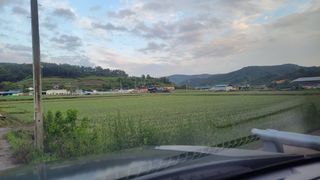 농사꾼 단비님의 자유주제 · 자유게시판 작성글 사진