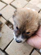 팜모닝 자유주제·자유게시판 게시글 이미지