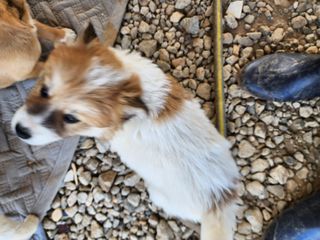 이경재회원님의 자유주제 · 자유게시판 작성글 사진