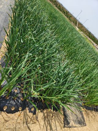 갑돌이님의 자유주제 · 자유게시판 작성글 사진