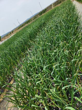 갑돌이님의 자유주제 · 자유게시판 작성글 사진