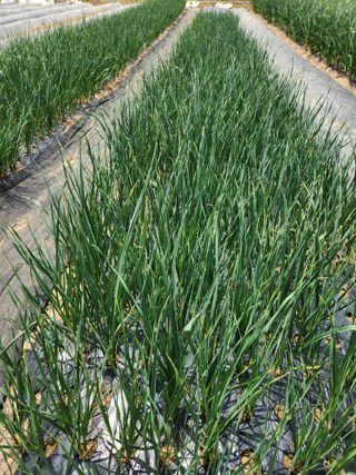 갑돌이님의 자유주제 · 자유게시판 작성글 사진