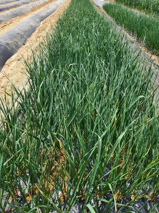 갑돌이님의 자유주제 · 자유게시판 작성글 사진