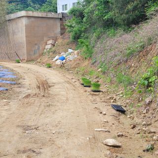 오원학님의 고추 · 영농일지 작성글 사진