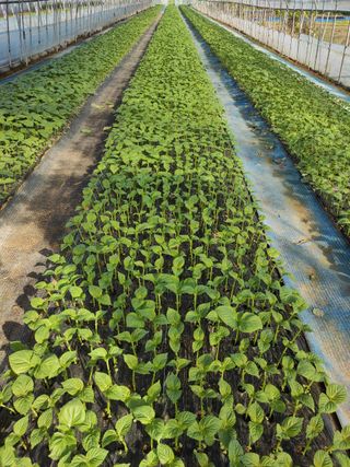 농민님의 자유주제 · 자유게시판 작성글 사진