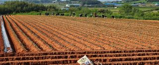 햇살처럼영농조합님의 자유주제 · 사진전 작성글 사진