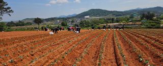 햇살처럼영농조합님의 자유주제 · 사진전 작성글 사진