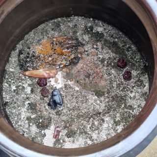 두릅나무12020님의 자유주제 · 자유게시판 작성글 사진