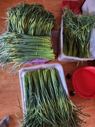 정영기대산축산농부♡님의 자유주제 · 자유게시판 작성글 사진