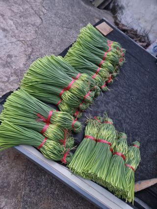 정영기대산축산농부♡님의 자유주제 · 자유게시판 작성글 사진