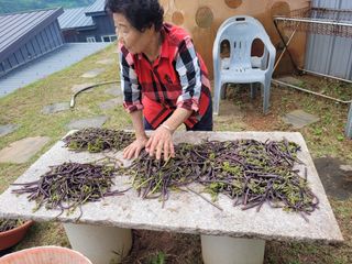 임선희님의 작성글 사진