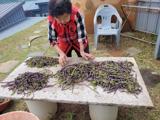 임선희님의 작성글 사진