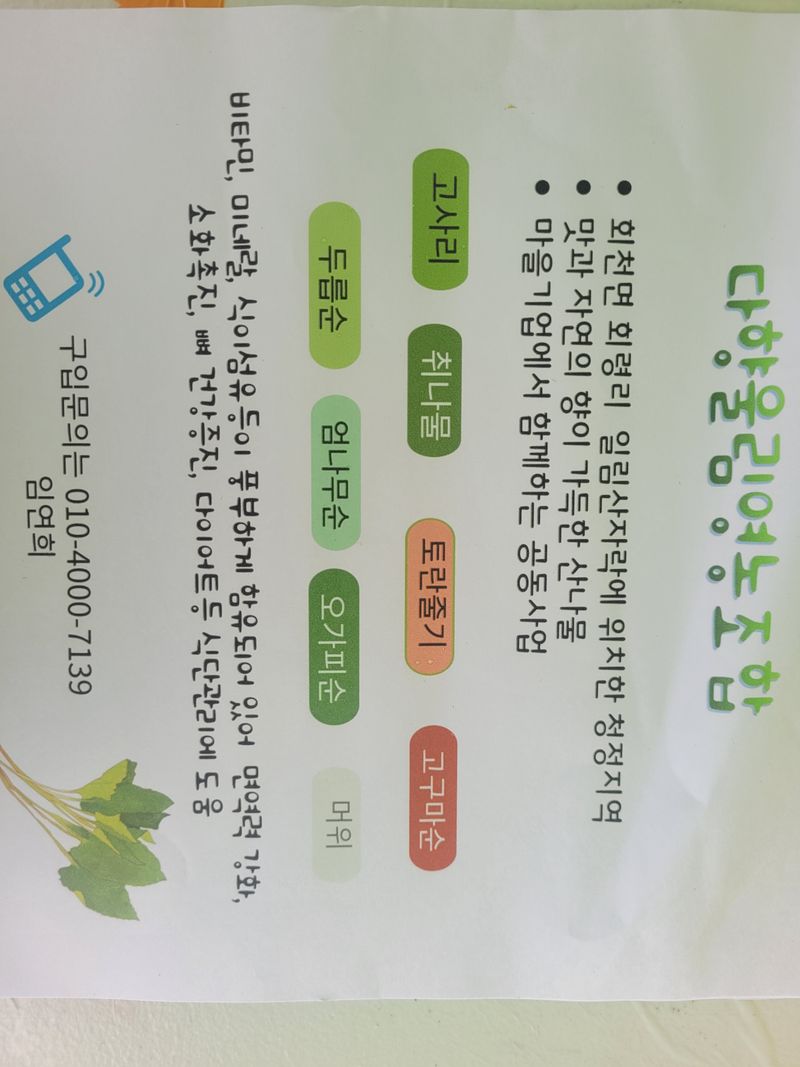 임선희님의 장터 판매 상품 [건고사리] 첨부 사진