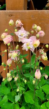 팜모닝 자유주제·자유게시판 게시글 이미지