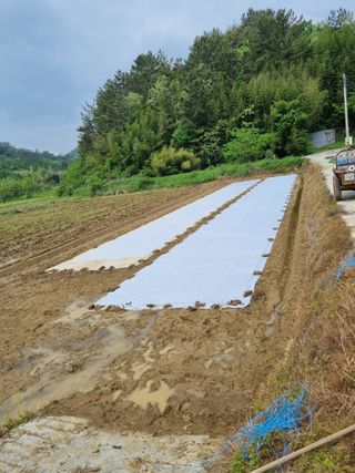 이종규님의 벼 · 영농일지 작성글 사진