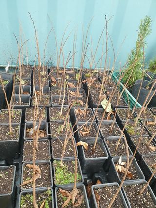 보미어르신님의 작성글 사진