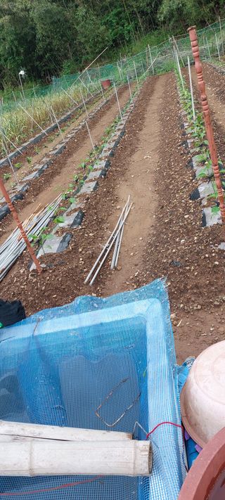 이형모님의 농사, 무엇이든 물어보세요! · 참여글 작성글 사진