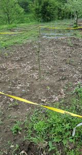 팜모닝 5월 내 작물 자랑하기·참여글 게시글 이미지