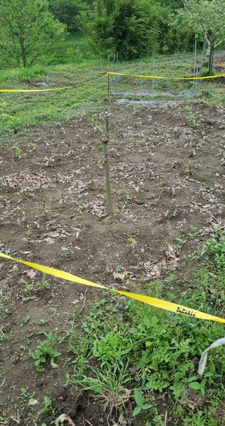 정재오님의 5월 내 작물 자랑하기 · 참여글 작성글 사진