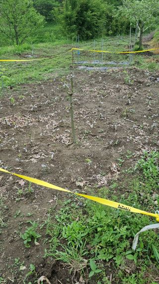 정재오님의 5월 내 작물 자랑하기 · 참여글 작성글 사진