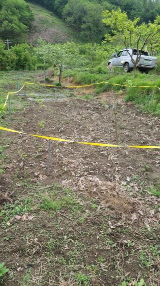 정재오님의 5월 내 작물 자랑하기 · 참여글 작성글 사진