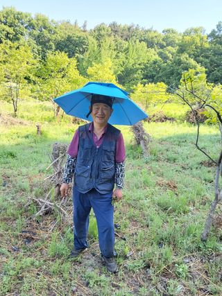 임태빈탑정호주말농장님의 기타작물 · 영농일지 작성글 사진