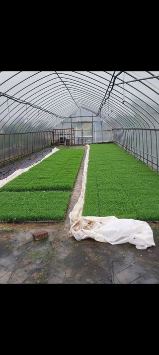 오영균 님의 자유주제 · 자유게시판 작성글 사진