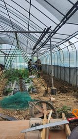 팜모닝 5월 내 작물 자랑하기·참여글 게시글 이미지