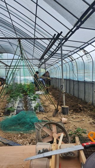 김희영님의 5월 내 작물 자랑하기 · 참여글 작성글 사진