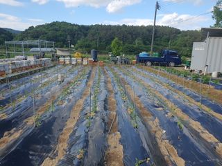 김동석 요아킴님의 자유주제 · 자유게시판 작성글 사진