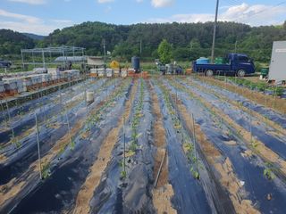김동석 요아킴님의 자유주제 · 자유게시판 작성글 사진