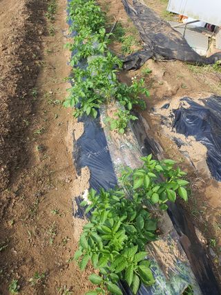 김동석 요아킴님의 자유주제 · 자유게시판 작성글 사진