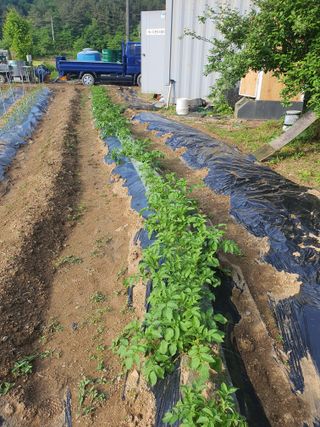김동석 요아킴님의 자유주제 · 자유게시판 작성글 사진