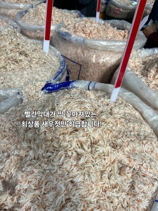 목포 물좋은수산님의 5월 내 작물 자랑하기 · 참여글 작성글 사진