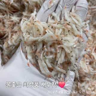 목포 물좋은수산님의 5월 내 작물 자랑하기 · 참여글 작성글 사진