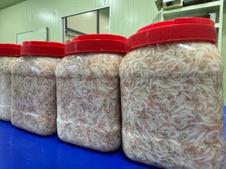 목포 물좋은수산님의 5월 내 작물 자랑하기 · 참여글 작성글 사진