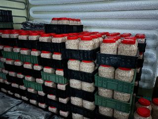 목포 물좋은수산님의 5월 내 작물 자랑하기 · 참여글 작성글 사진