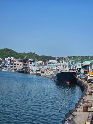 노가네수산님의 자유주제 · 사진전 작성글 사진