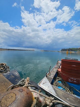 노가네수산님의 자유주제 · 사진전 작성글 사진